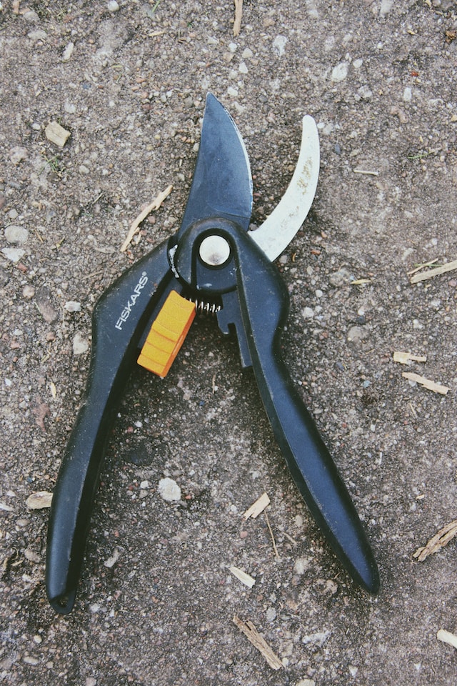 Here is how to sharpen garden shears with a file
