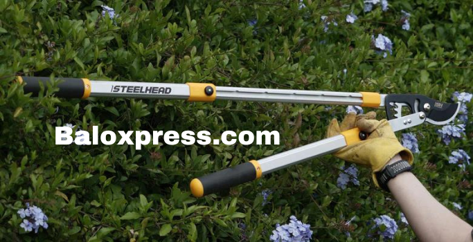 How to sharpen garden loppers in 5 steps