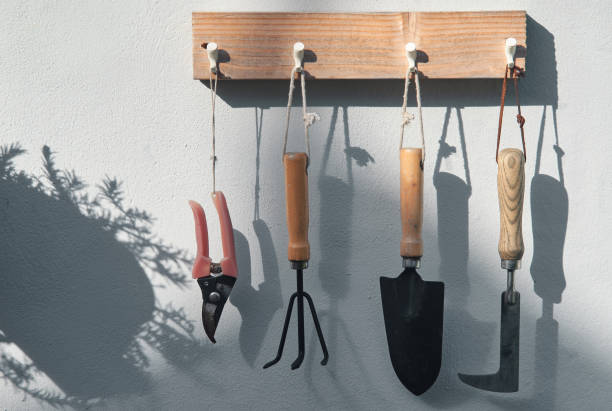 How to Keep Garden Tools from Rusting in 5 steps